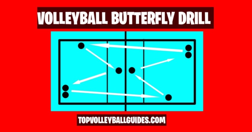 volleyball butterfly drill