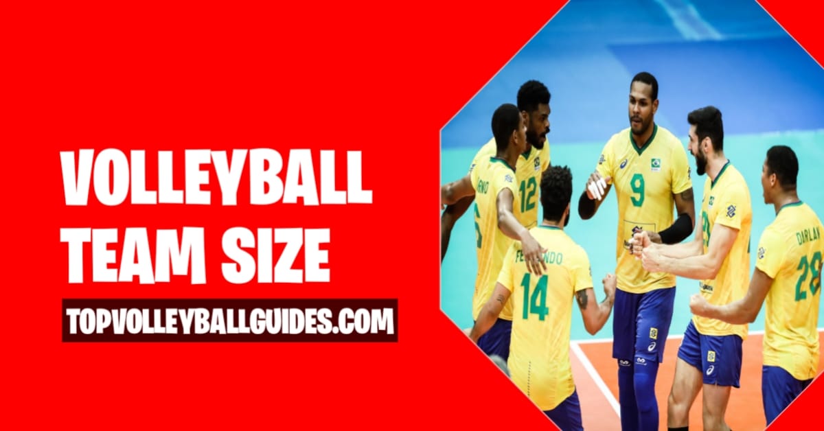 How many players play in a volleyball team?