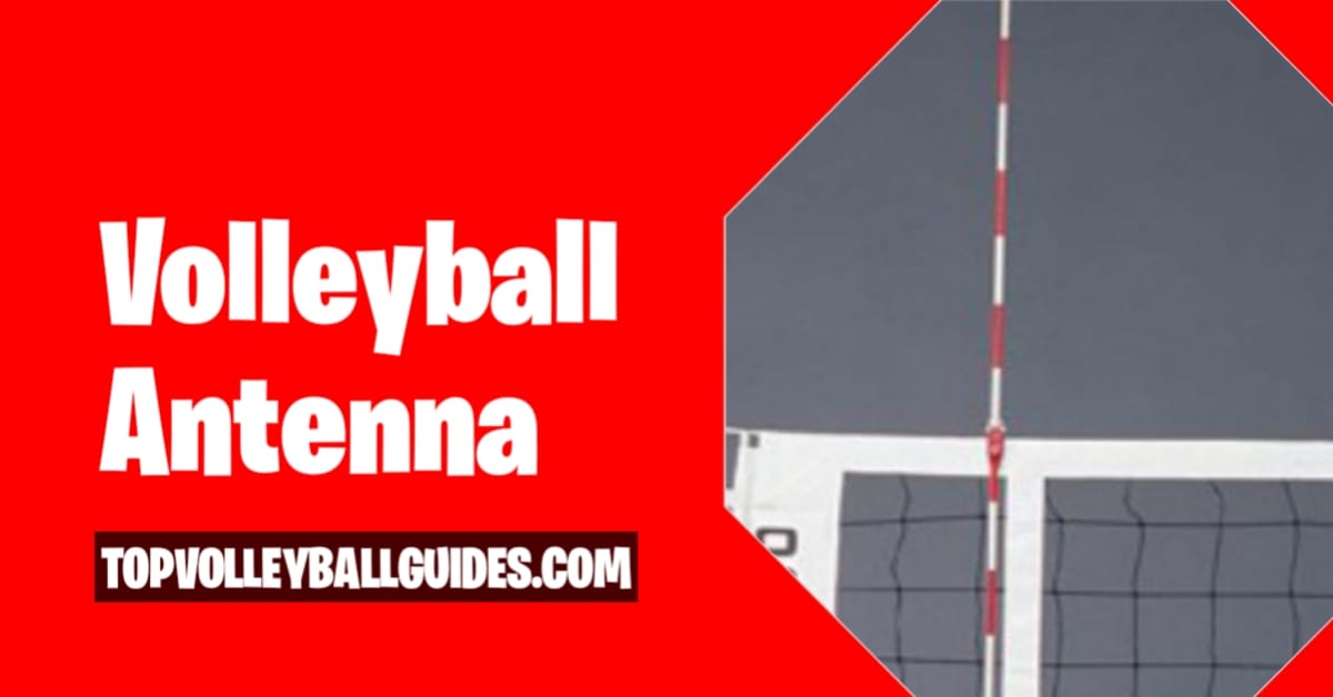 antenna on pole of volleyball net